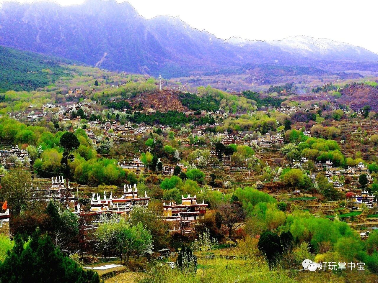天路春回，川藏花开（五）——左顾冰雪右看花